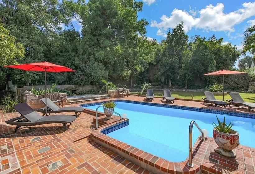 هتل Feather Leaf Inn