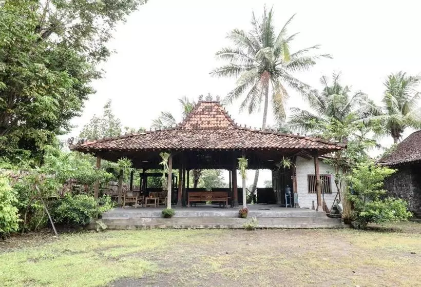 Alberg Griya Tembi