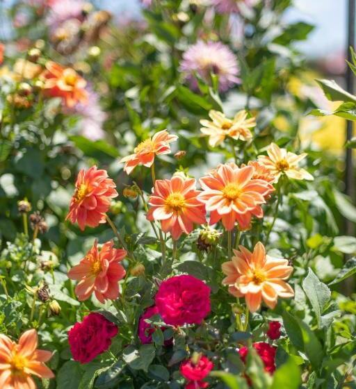 فندق Golfers Inn