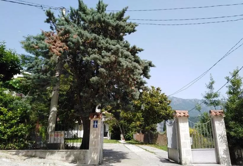 پانسیون Bajto House