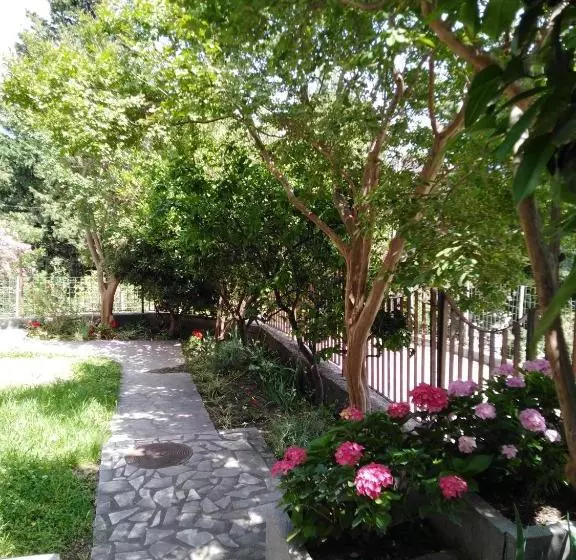 پانسیون Bajto House