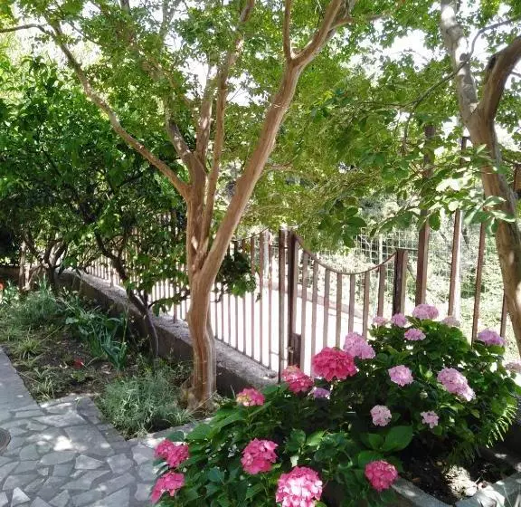 پانسیون Bajto House