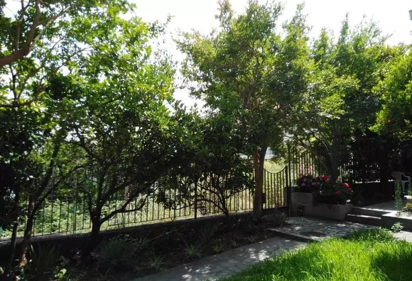 پانسیون Bajto House