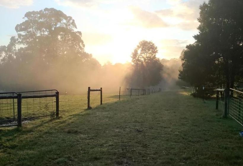 בית מלון כפרי Carinya Park