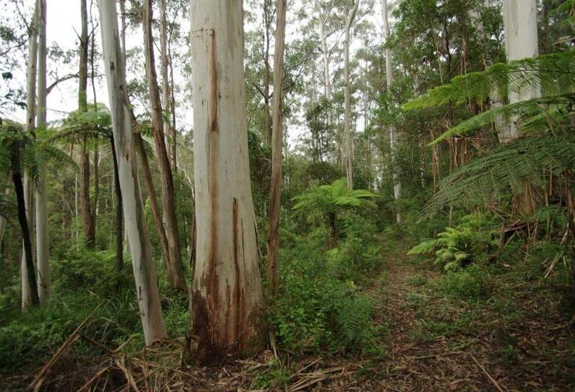 בית מלון כפרי Carinya Park