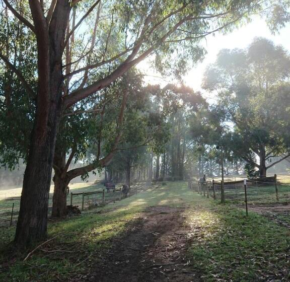 בית מלון כפרי Carinya Park