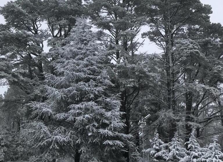 펜션 Closeburn House