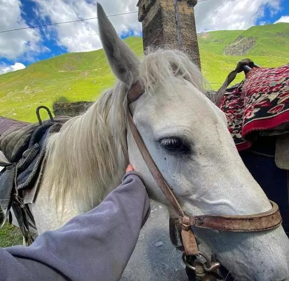 Pension Nizharadze's Tower