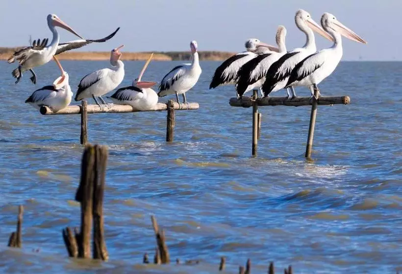 ペンション Pelican Perch Retreat