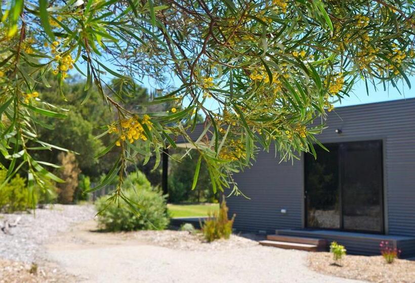 ベッドアンドブレックファースト Driftaway On Dundas