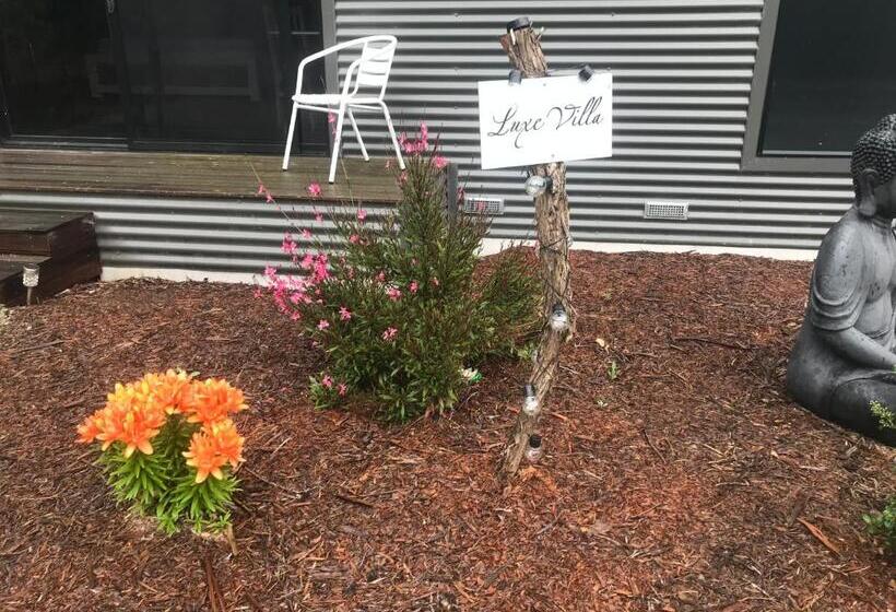 ベッドアンドブレックファースト Driftaway On Dundas