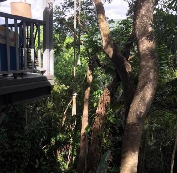 Mossman Gorge Bed And Breakfast