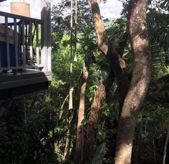 Mossman Gorge Bed And Breakfast