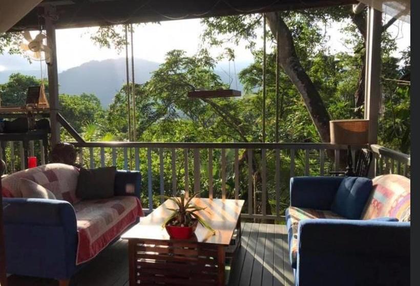 Mossman Gorge Bed And Breakfast