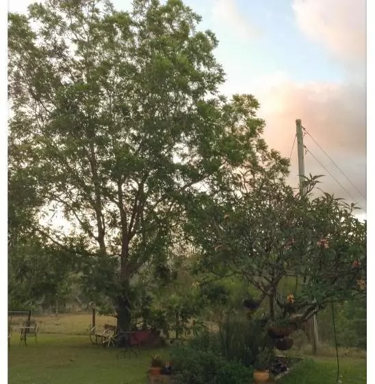 Majatalo Bielby's Hideaway