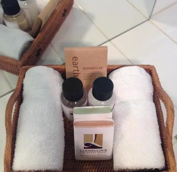 پانسیون Llewellin S Guest House