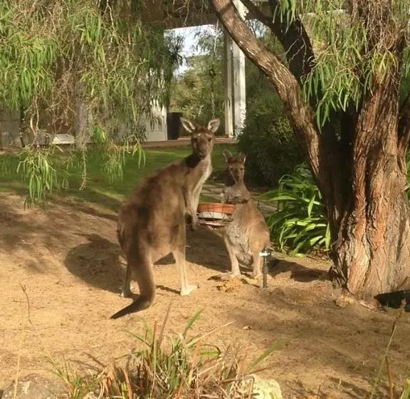 پانسیون Llewellin S Guest House