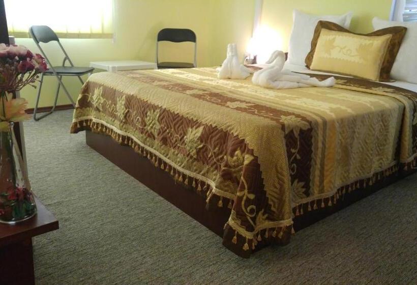 Pensiunea La Castel   Piscina Incalzita