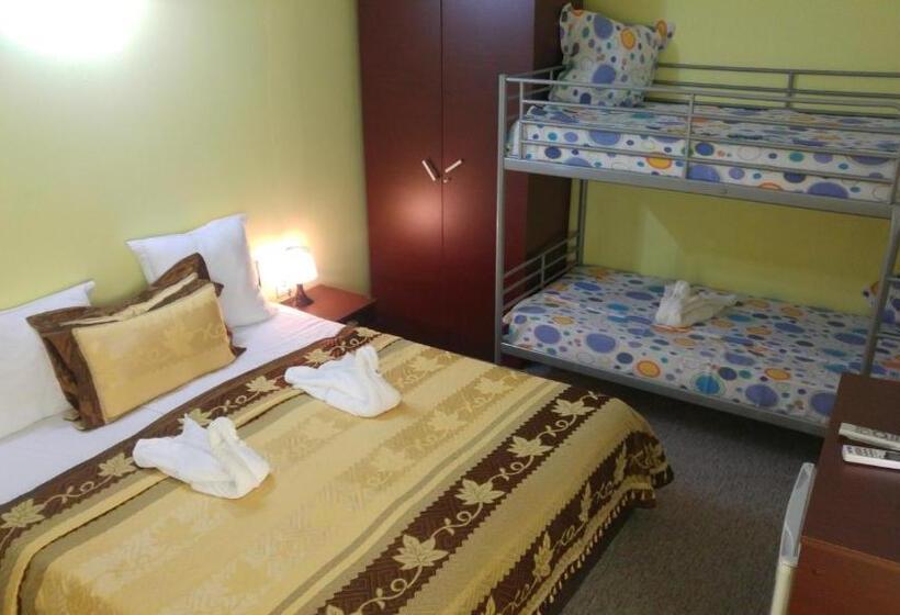 Pensiunea La Castel   Piscina Incalzita