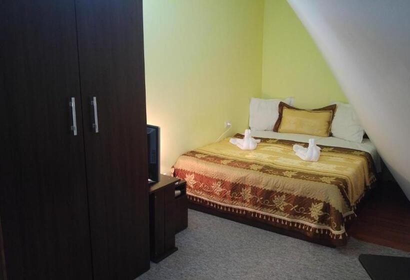 Pensiunea La Castel   Piscina Incalzita