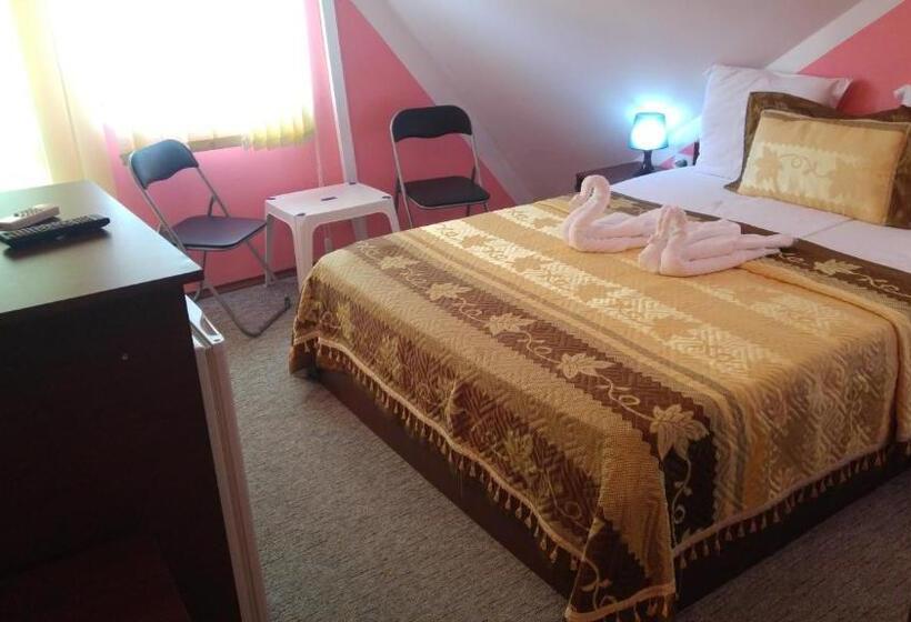 Pensiunea La Castel   Piscina Incalzita