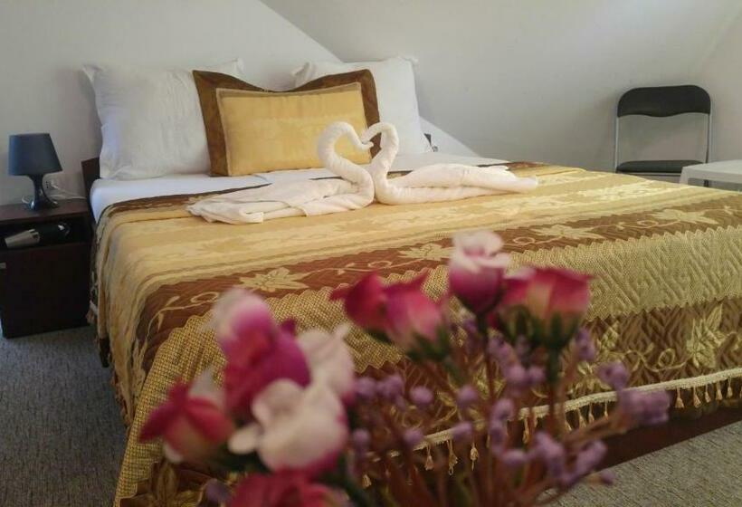 Pensiunea La Castel   Piscina Incalzita