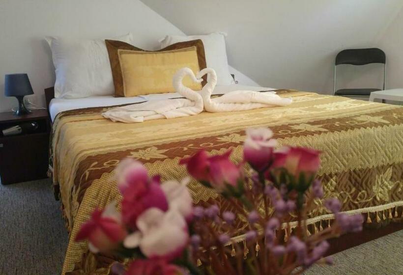 Pensiunea La Castel   Piscina Incalzita