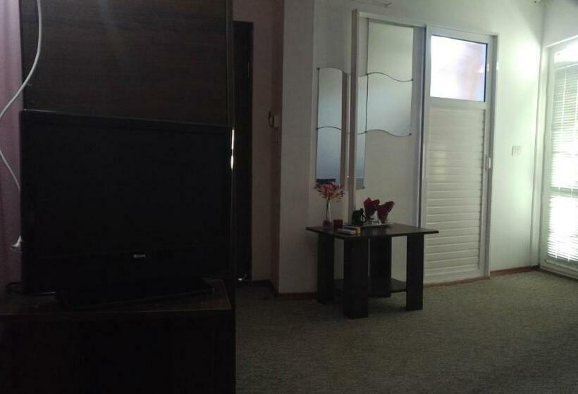 Pensiunea La Castel   Piscina Incalzita