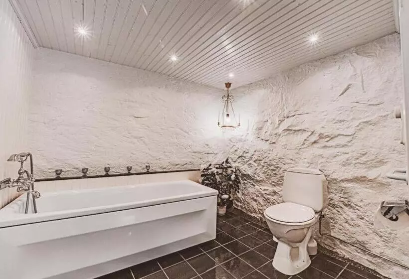 ベッドアンドブレックファースト Gottfridsgården