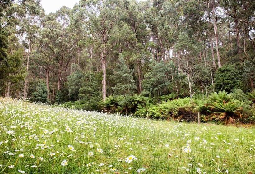 Bed and Breakfast Herons Rise Vineyard Accommodation