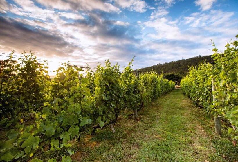 Bed and Breakfast Herons Rise Vineyard Accommodation