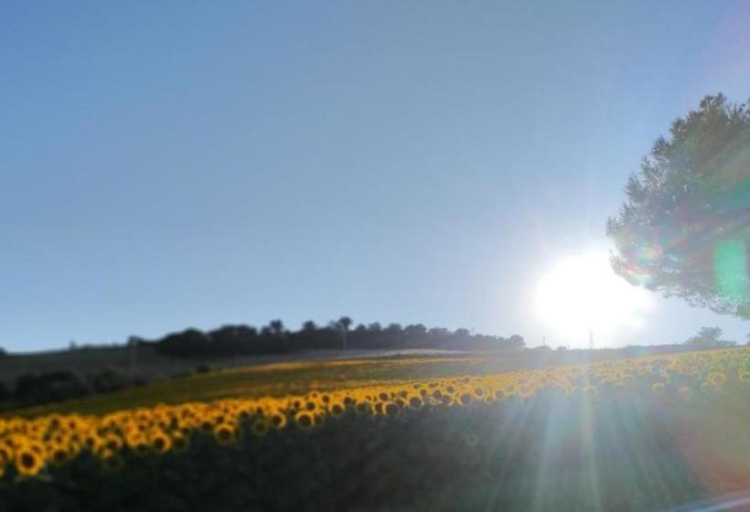 בית מלון כפרי Agriturismo Bellebuono