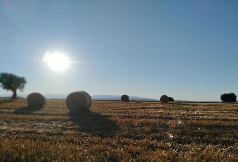 בית מלון כפרי Agriturismo Bellebuono