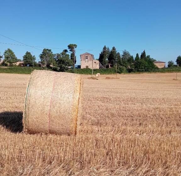 בית מלון כפרי Agriturismo Bellebuono