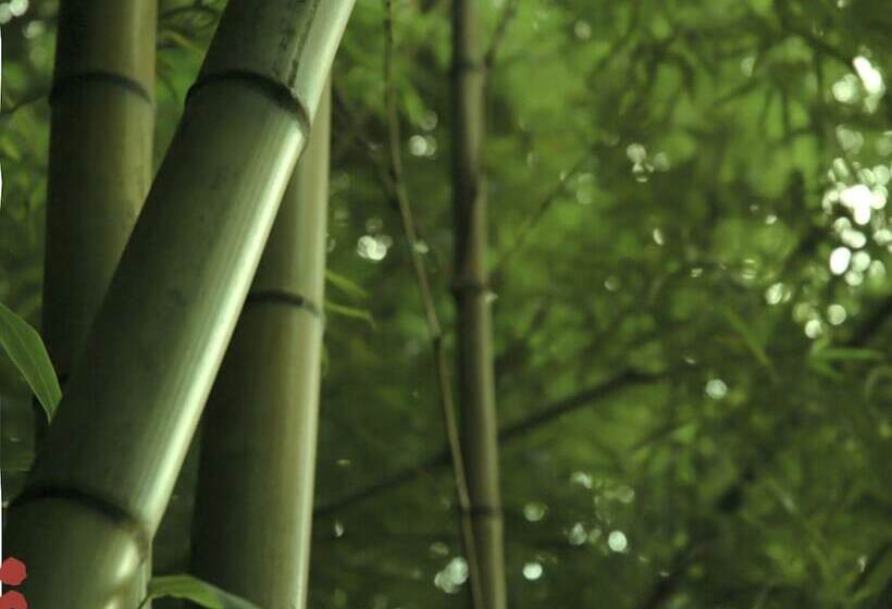 ריוקאן Nanakamado