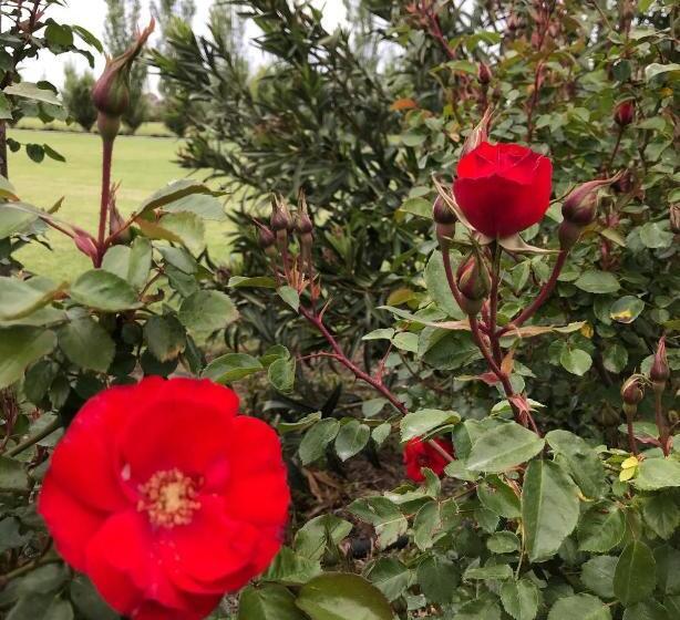 B&b Terre Di Paestum