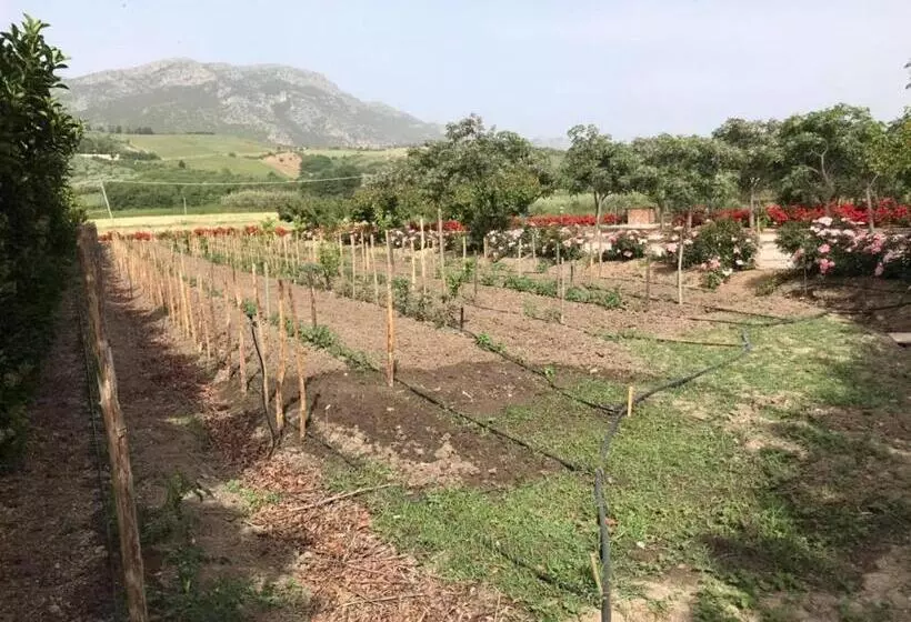 B&b Terre Di Paestum