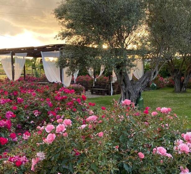 B&b Terre Di Paestum