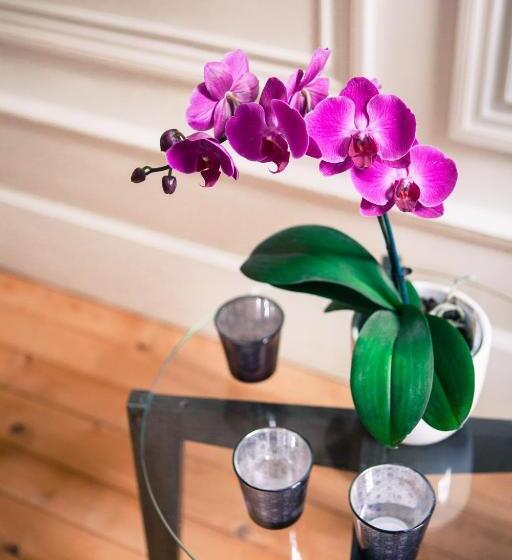 住宿加早餐 Chambres D'hotes La Chartreuse Des Eyres