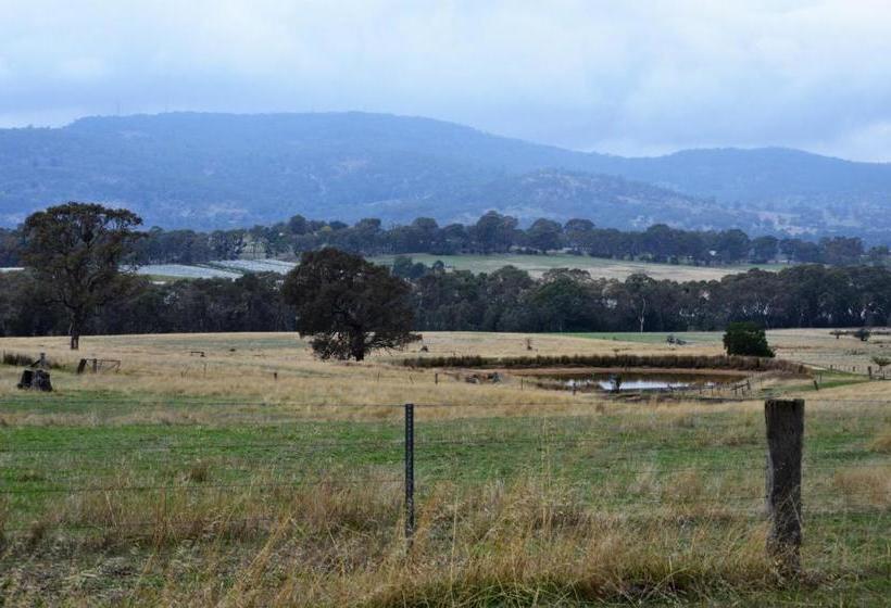 צימר Friends In Harcourt North