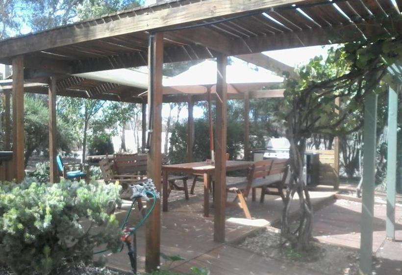 צימר Friends In Harcourt North