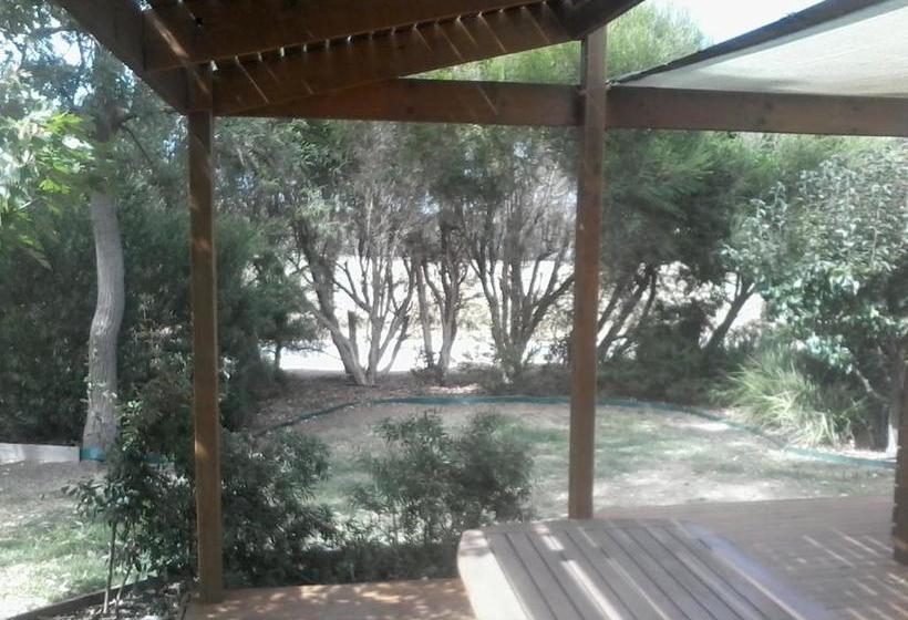 צימר Friends In Harcourt North