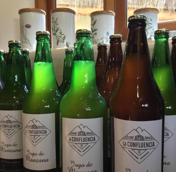 تختخواب و صبحانه La Confluencia Lodge