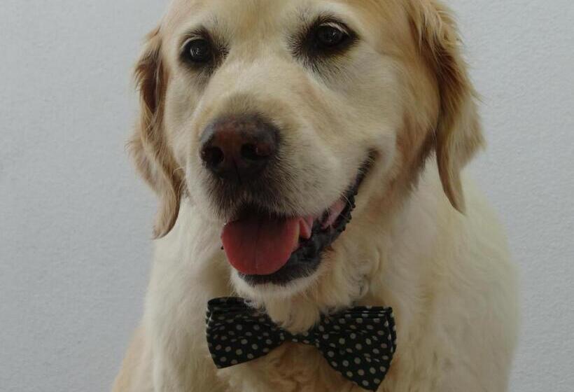 Eumundi Yacht Club B&b