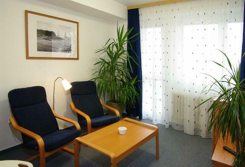 בית מלון כפרי Centrum Brno