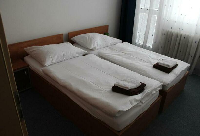 בית מלון כפרי Centrum Brno