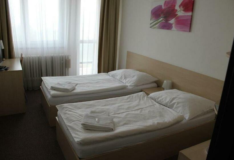 בית מלון כפרי Centrum Brno