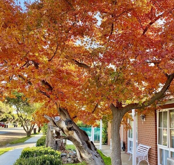 모텔 Jolly Swagman Motor Inn Euroa