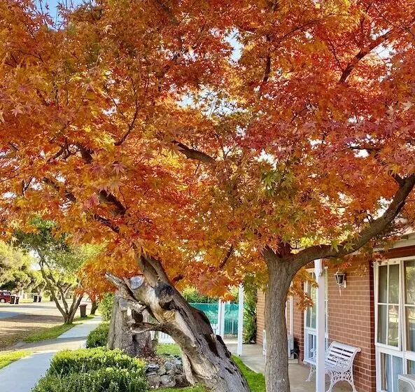 モーテル Jolly Swagman Motor Inn Euroa