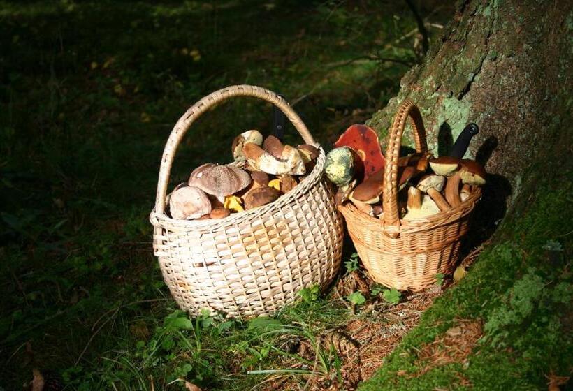 ペンション Apartmány Záhořovo Lože